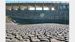 100년만에 덮친 중남미 최악 가뭄…장기화에 비상사태 선포