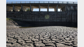 중남미 ‘100년만의 가뭄’… 장기화에 “비상사태”