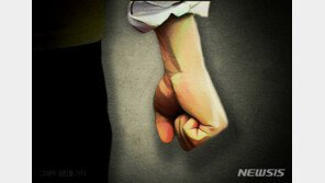 “태권도 몇 단이세요?” 경찰에 발차기 날리고 주먹질한 40대