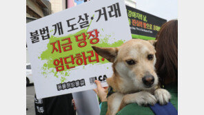 [단독]서울시의회, ‘개·고양이 식용금지’ 조례 보류하기로