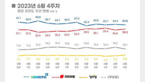 국민의힘 38.0% 민주당 43.8%…민주, 5.8%p 앞서[리얼미터]