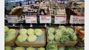 장마시작 채소·과일값 심상찮다…폭염·폭우 전망에 ‘도매시장’ 요동