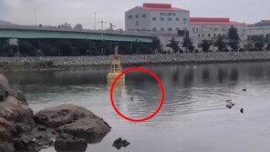 음란행위 들키자 바다로 ‘풍덩’…시민 비웃음 산 50대 최후