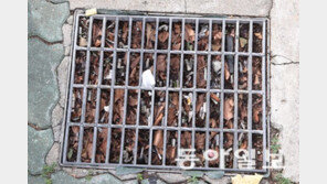 장마철 ‘막힌 빗물받이’ 발견 땐 안전신문고로 알려주세요 