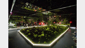 “반딧불이 보러 오세요” 