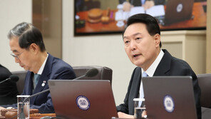 尹, 오늘 국무회의서 프랑스 베트남 순방 후속조치  지시