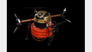 물놀이 안전사고 인명구조에 드론 투입…법률 개정안 발의