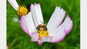 장마 소강상태…대구·경북 곳곳 ‘폭염주의보’ 발령