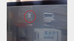 차 훔치고 무면허 운전…사고나자 뺑소니 당한 척까지