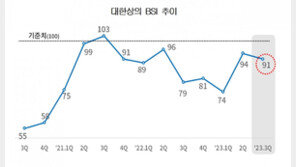 [사설]기업경기전망 8분기 연속 ‘부정적’… 투자 족쇄 과감히 풀어야