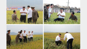 북한 ‘재해성 이상 기후’ 보도 급증… 농업 피해 예방 총력