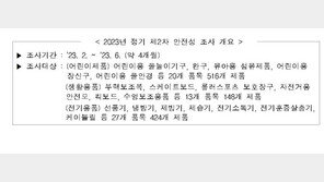 납 함유량 초과 등…물놀이·냉방용품, 65개 리콜명령 조치