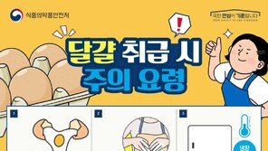 달걀 만진 손 안 씻고 요리하다 ‘이 병’ 걸린다…여름철 주의보