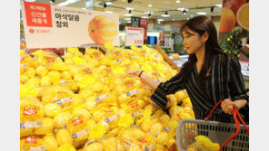 고품질 과일 위해 유통과정 점검