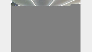 “금전 문제로 다퉈”…만취상태서 삼촌 편의점에 승용차 돌진 30대