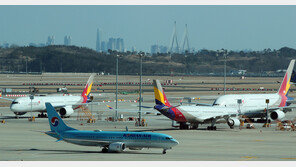 아시아나 합병심사 또 지연에…“합병 가능성 오히려 높아져”