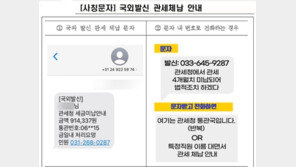 ‘미납금 안내·금일 처리 요망’ 보이스피싱…관세납부 문자 주의보