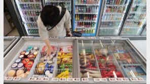 편의점 빅4, 롯데 아이스크림 가격 인상 보류…“물가 안정 기조 동참”