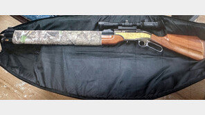 “경적 울려도 안 비켜” 총으로 길고양이 쏴 죽인 60대