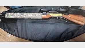 “저리 안 비켜?” 길 막은 어미고양이 총으로 ‘탕’…새끼 3마리 배회