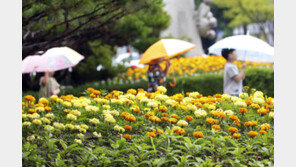 어린이집 ‘약제비 영수증’으로 출석 인정…현장 평가일 사전고지