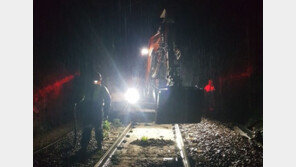 영동선 영주~동해 열차운행 중단…일부 구간 철도 유실