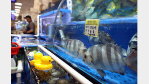 국민 10명 중 8명 “일본 후쿠시마 오염수 방류 걱정된다”