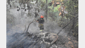 ‘관악산 방화’ 50대 남성 구속 송치…“술 먹고 불 질러”