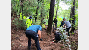 “화장할 돈이 없어서”…거제서 생후 5일 영아 야산에 유기한 부부