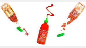 소스 품귀 현상에 1병 10만원…美서 스리라차 무슨일?