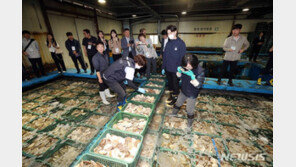 동해안 현장 찾은 식약처장…“철저한 수산물 검사” 당부