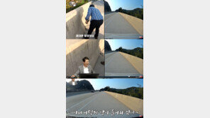 “뱀이 내 머리 깨물어”…경춘고속도로 달리는데 독사 ‘갑툭튀’ 경악