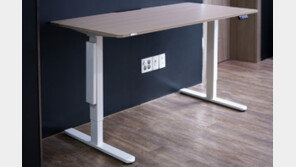 [리뷰] 서서 일하는 습관을 위한 책상, 카멜 핏쳐 모션데스크 S1