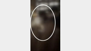 “내가 문어발 뜯으러 왔냐”…용인시 체육회장, 직원들에게 폭언·갑질