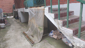 모래주머니-대형비닐… ‘탈출’ 못한 반지하, 임시 자구책 