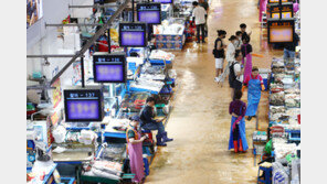 IAEA 이번 주 ‘후쿠시마’ 최종 보고서 발표… “앞으로가 더 중요”