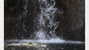 가평 계곡서 30대 남녀 3명 물에 빠져…1명 사망·2명 부상