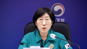 코일·전자 모기향 안전한가…환경부, 알레트린 검증 다시 한다