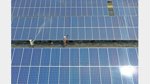 곤충·버섯농장에 웬 태양광…5800억 비리 또 잡았다