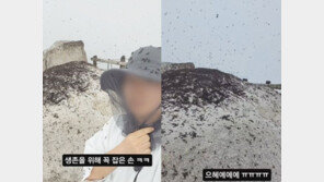 “기념사진도 못 찍어”…북한산 뒤덮은 러브버그에 등산객 혼비백산