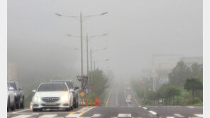 짙은 안개에 제주공항 160여편 지연·결항…착륙실패 회항도