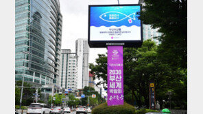 꼼꼼하게 검사, 촘촘하게 감시…부산 수산물 안심하고 드세요