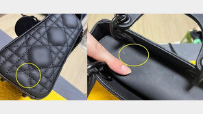 알바생에 ‘디올백’ 700만원 배상 요구 결말…“돈 다 받을 생각 없었다”