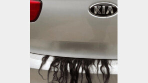 기아차 트렁크서 삐져나온 여성 머리카락…출동한 경찰, 반전에 ‘웃음 빵’