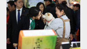 김건희 여사, 강릉 시장 찾아 해산물 시식…상인들 격려
