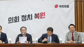 국힘 “민주, IAEA 보고서 보기 전에 결론…중세 종교재판 같아”