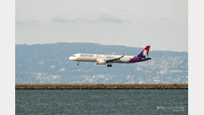 “갑자기 아래로 떨어져…천장에 머리 쾅” 시드니행 비행기서 무슨일