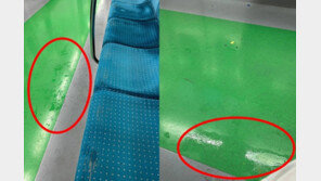 “싸이 흠뻑쇼 때문에 지하철 좌석 흠뻑”…민폐 관객에 ‘부글’