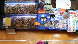 日오염수 방류 임박…걱정 가득한 국내 수산업계