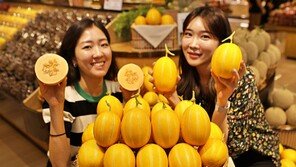 “멜론과 접목한 고당도 참외 맛보세요” 